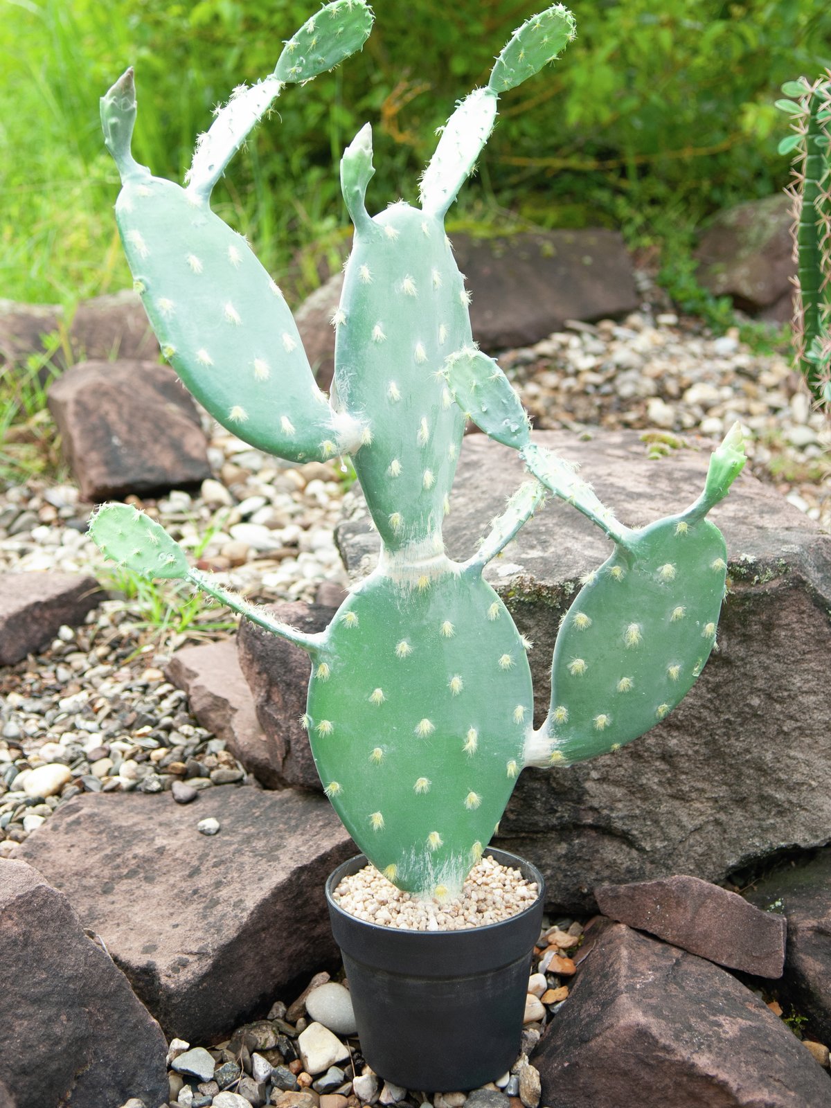 Nopal cactus, artificial plant, 76cm