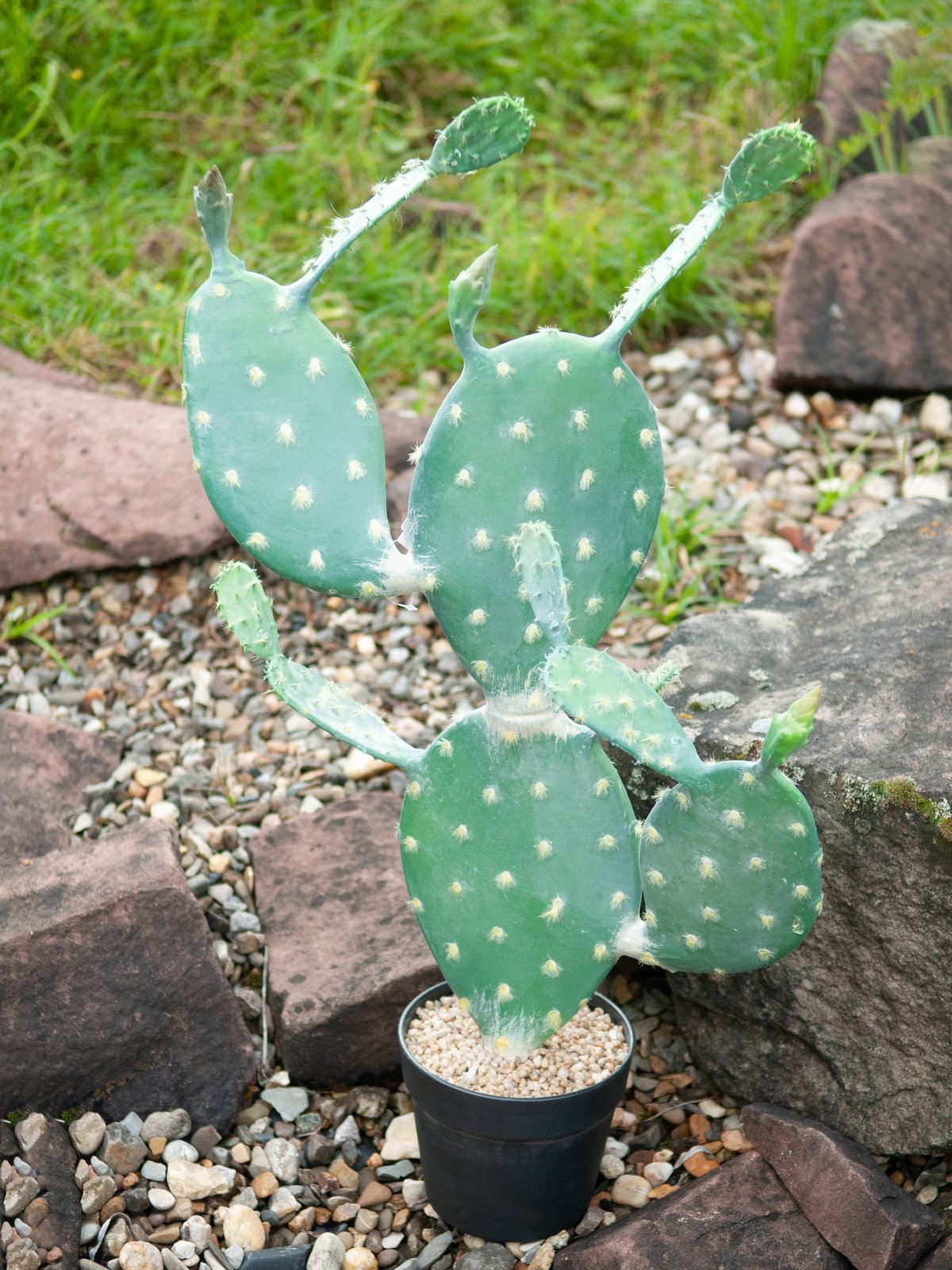 Nopal cactus, artificial plant, 76cm