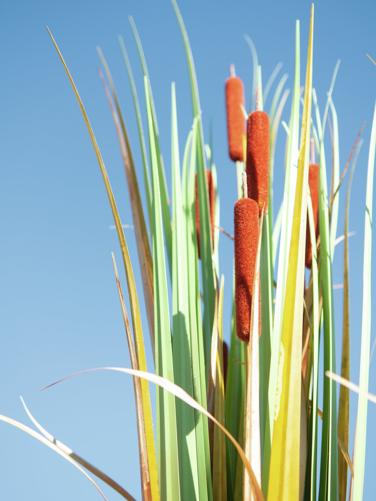 Bullrush, artificial plant 90cm