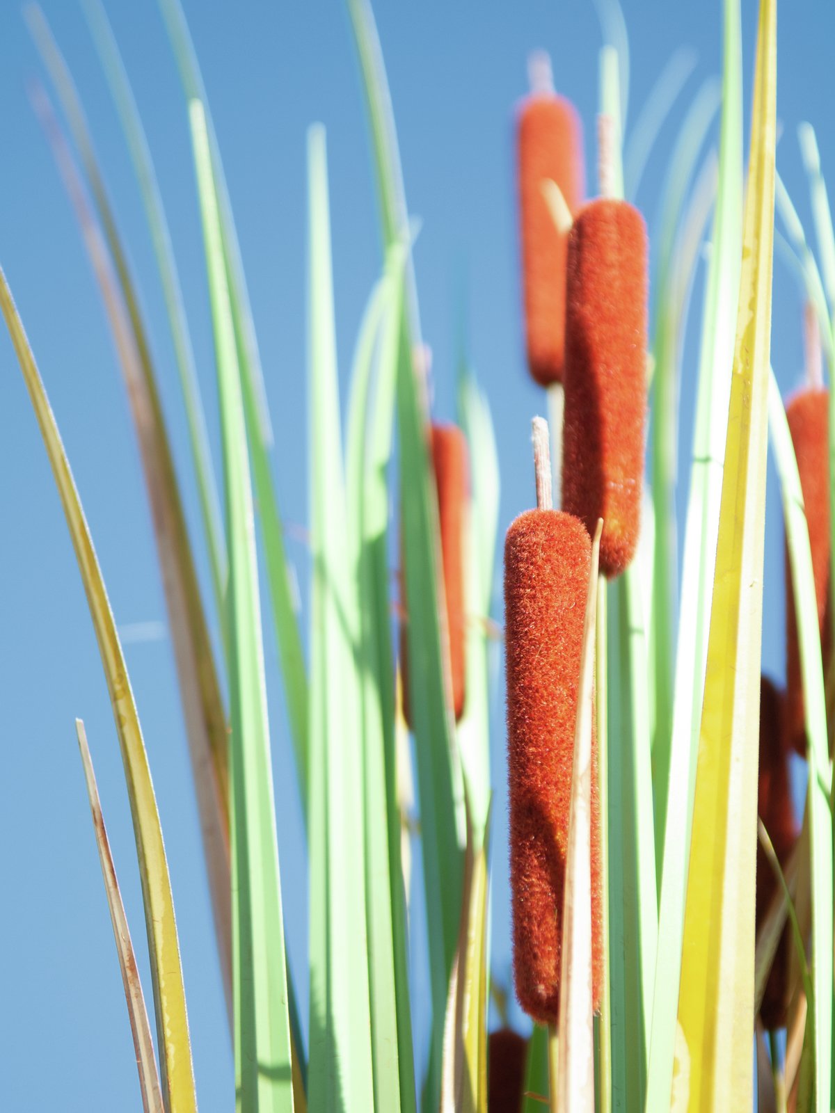 Bullrush, artificial plant 90cm