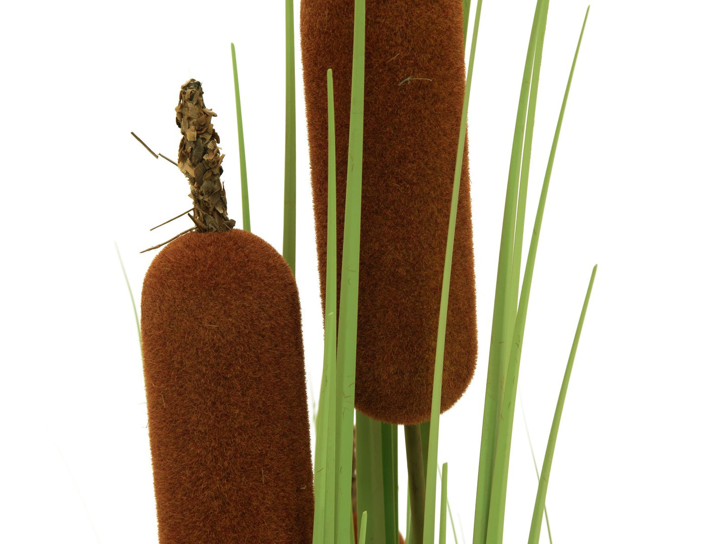 Bullrush, artificial plant, 150cm