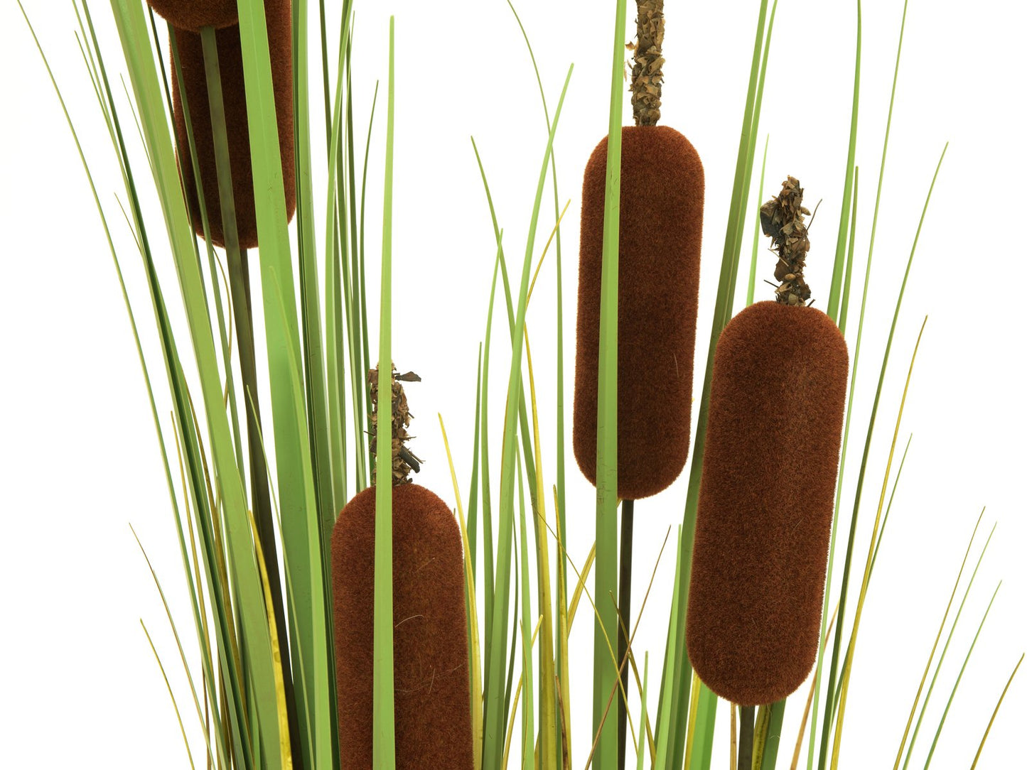 Bullrush, artificial plant, 150cm