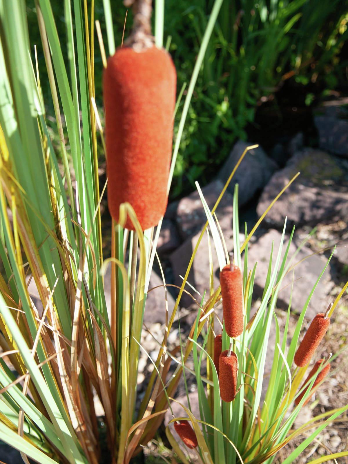 Bullrush, artificial plant, 150cm