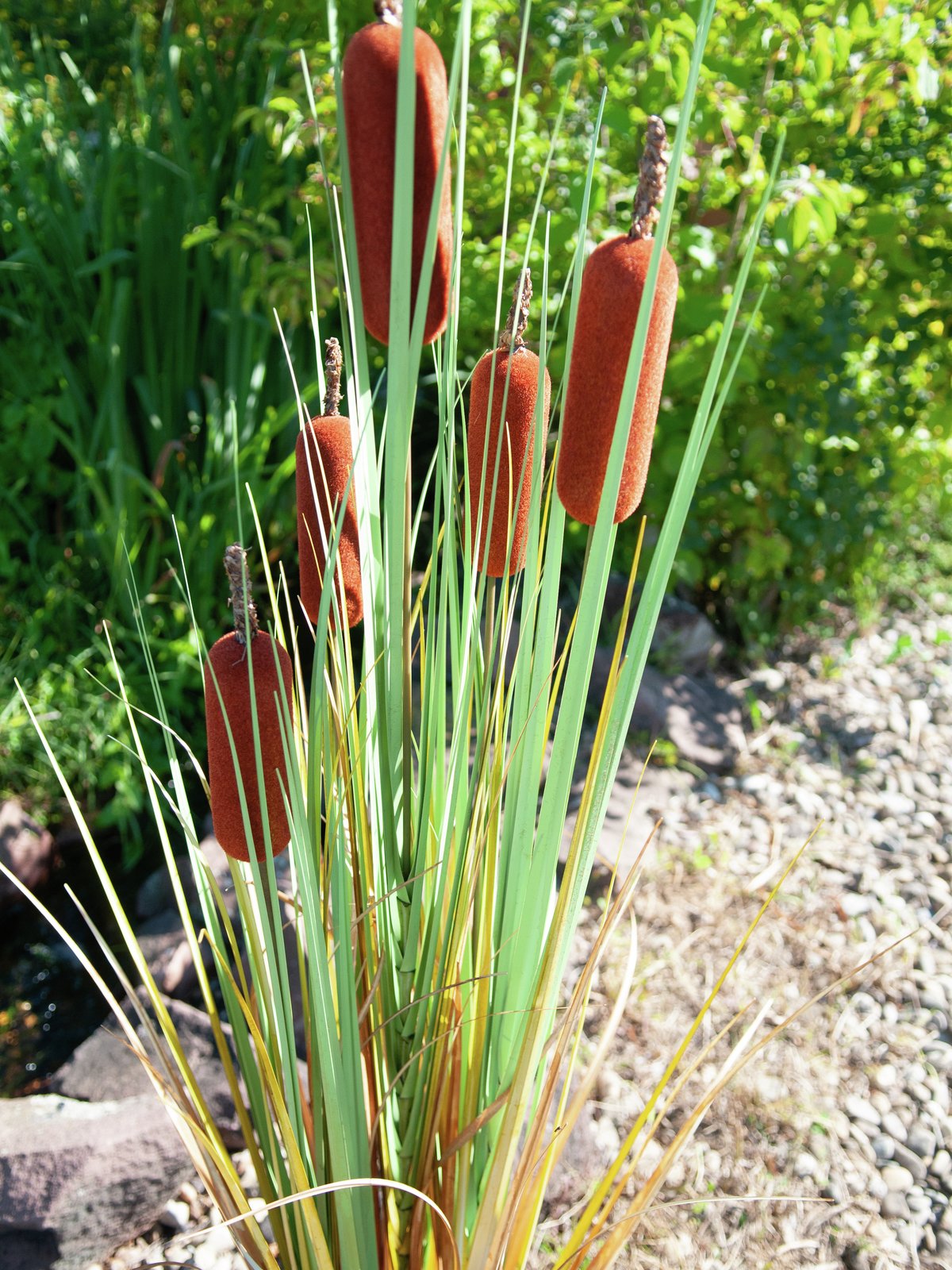 Bullrush, artificial plant, 150cm