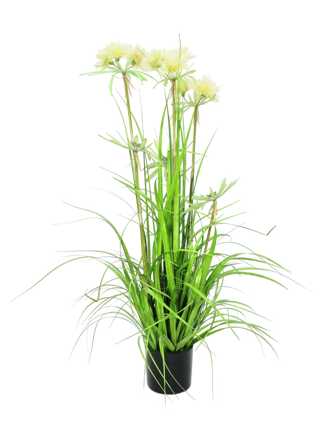 Star Grass artificial, 120cm