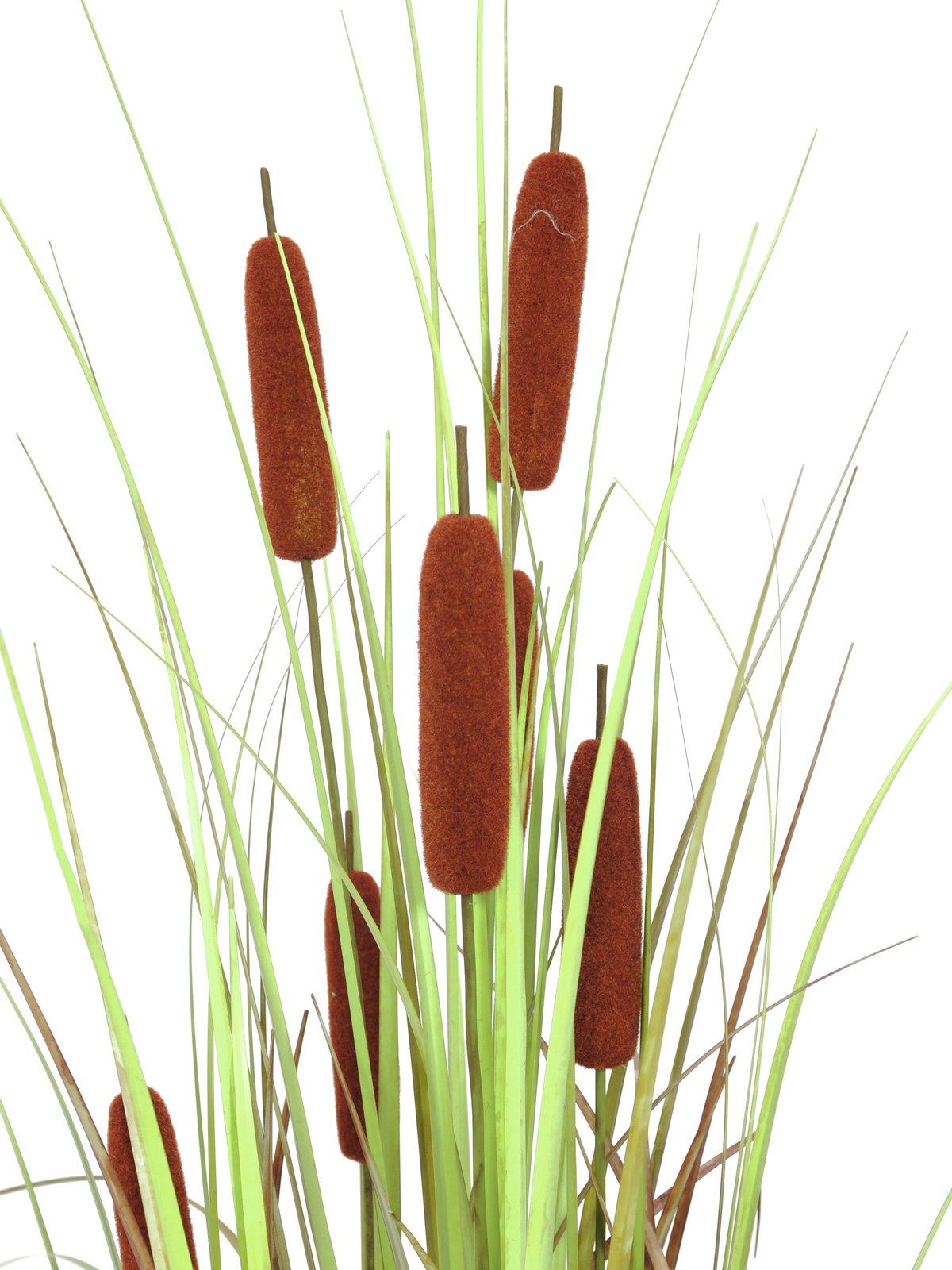 Bullrush, artificial plant, 120cm