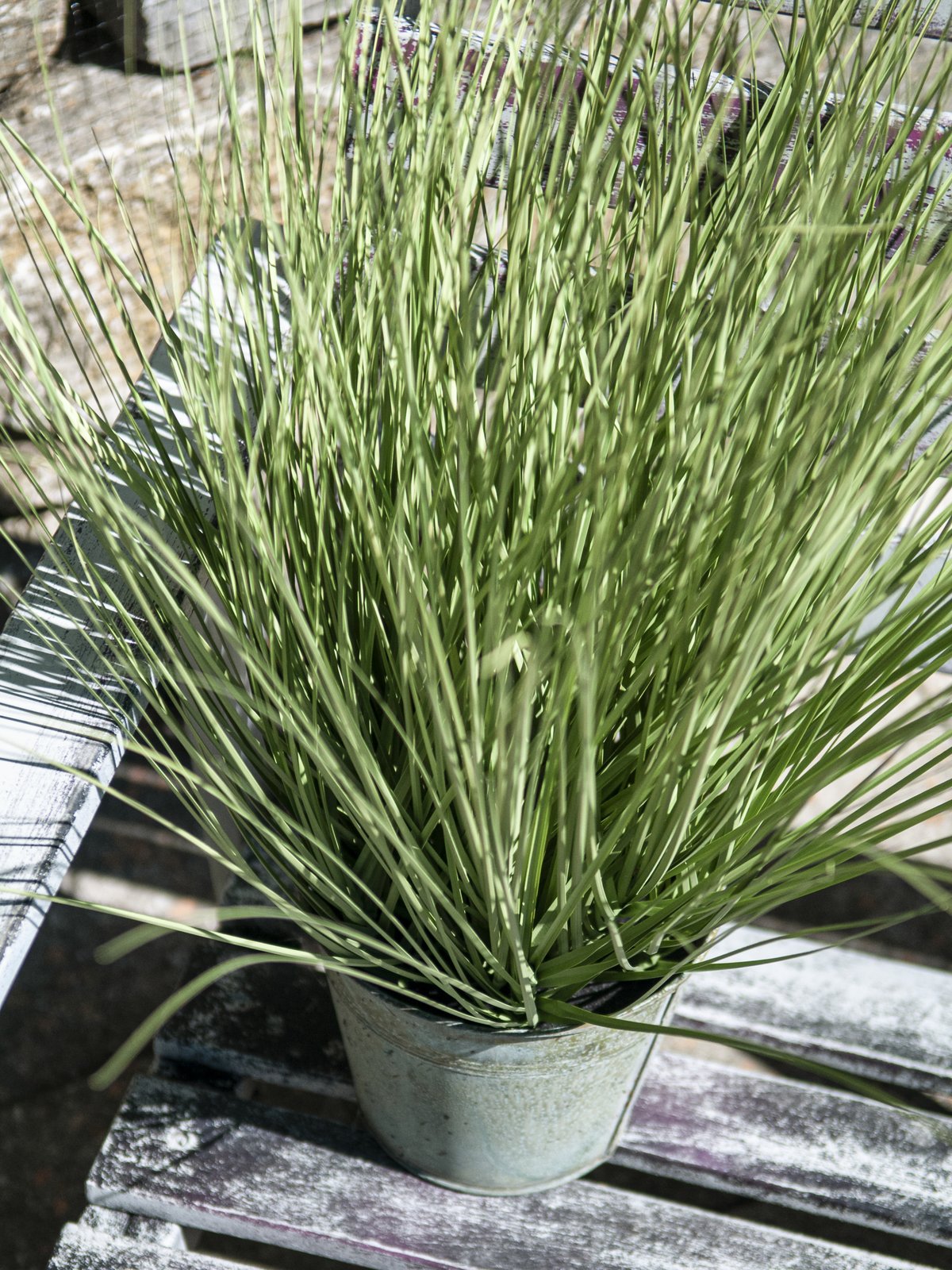 Ornamental grass, artificial, 65cm