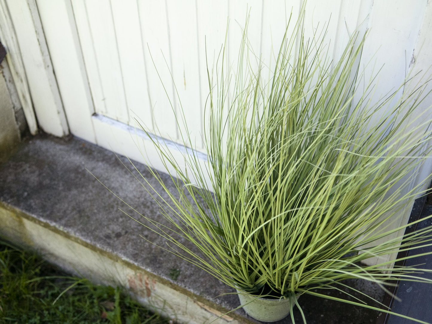 Ornamental grass, artificial, 65cm