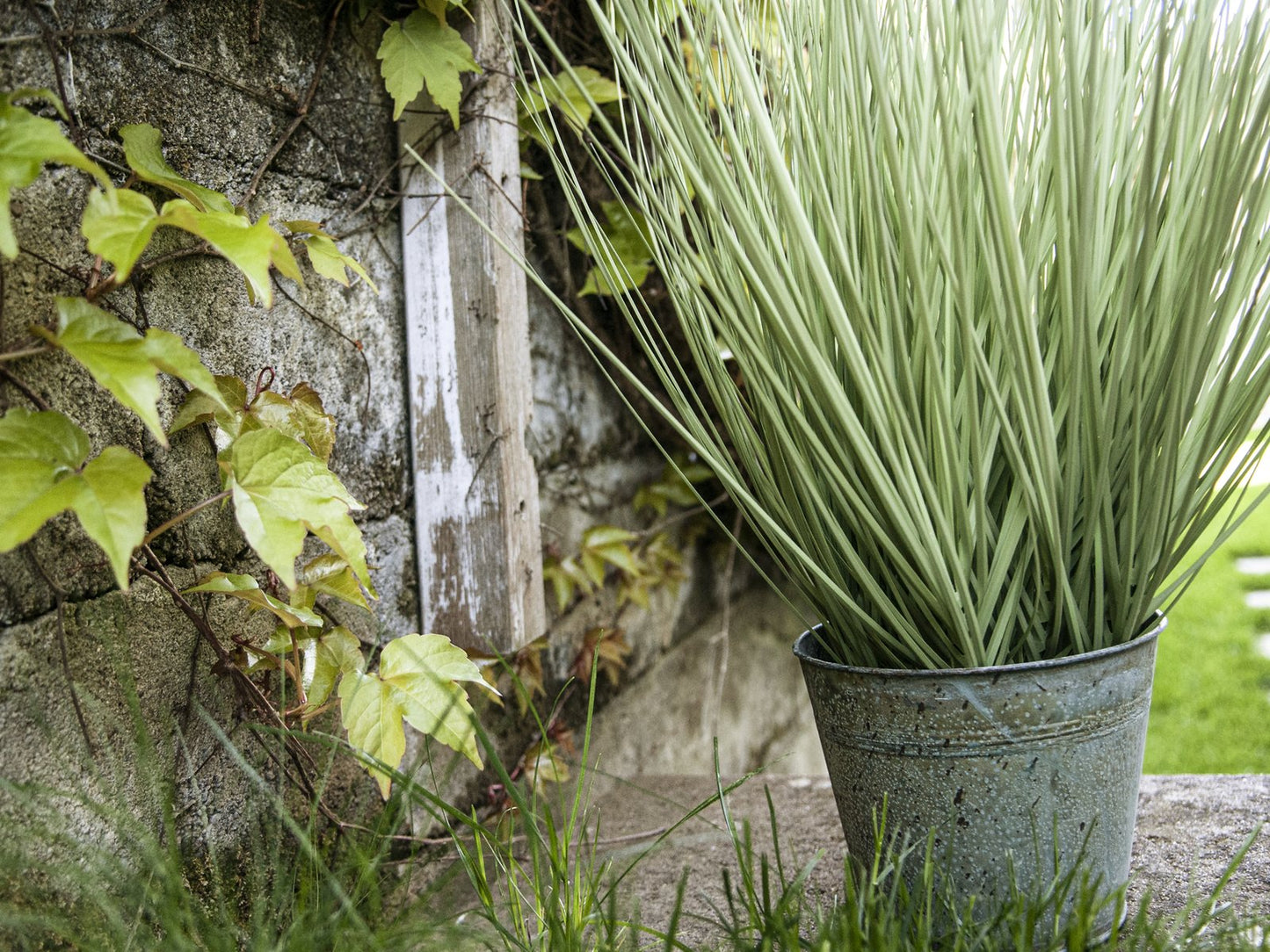 Ornamental grass, artificial, 65cm