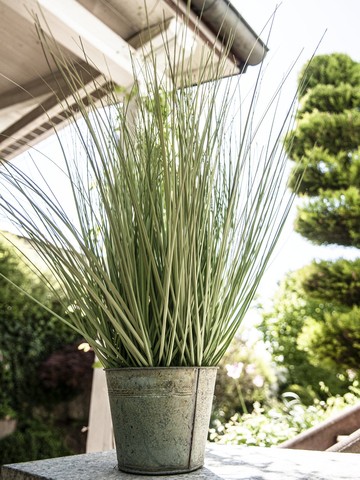 Ornamental grass, artificial, 65cm