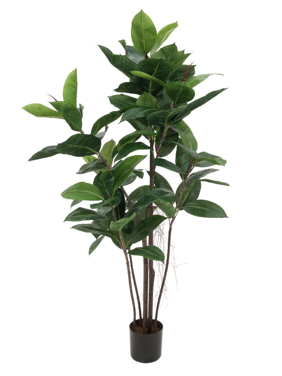 Rubber tree, artificial plant, 120cm