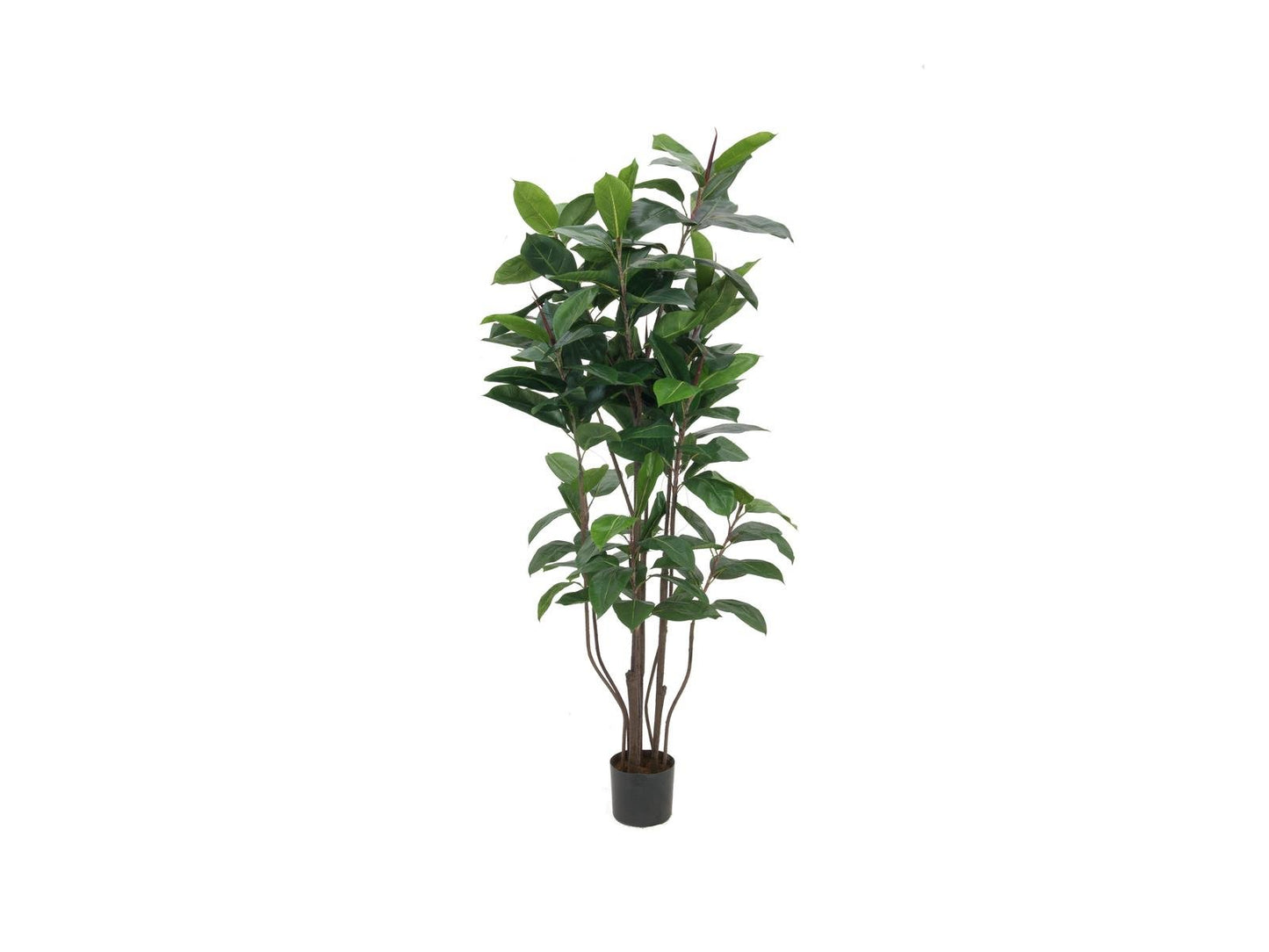 Rubber tree, artificial plant, 150cm