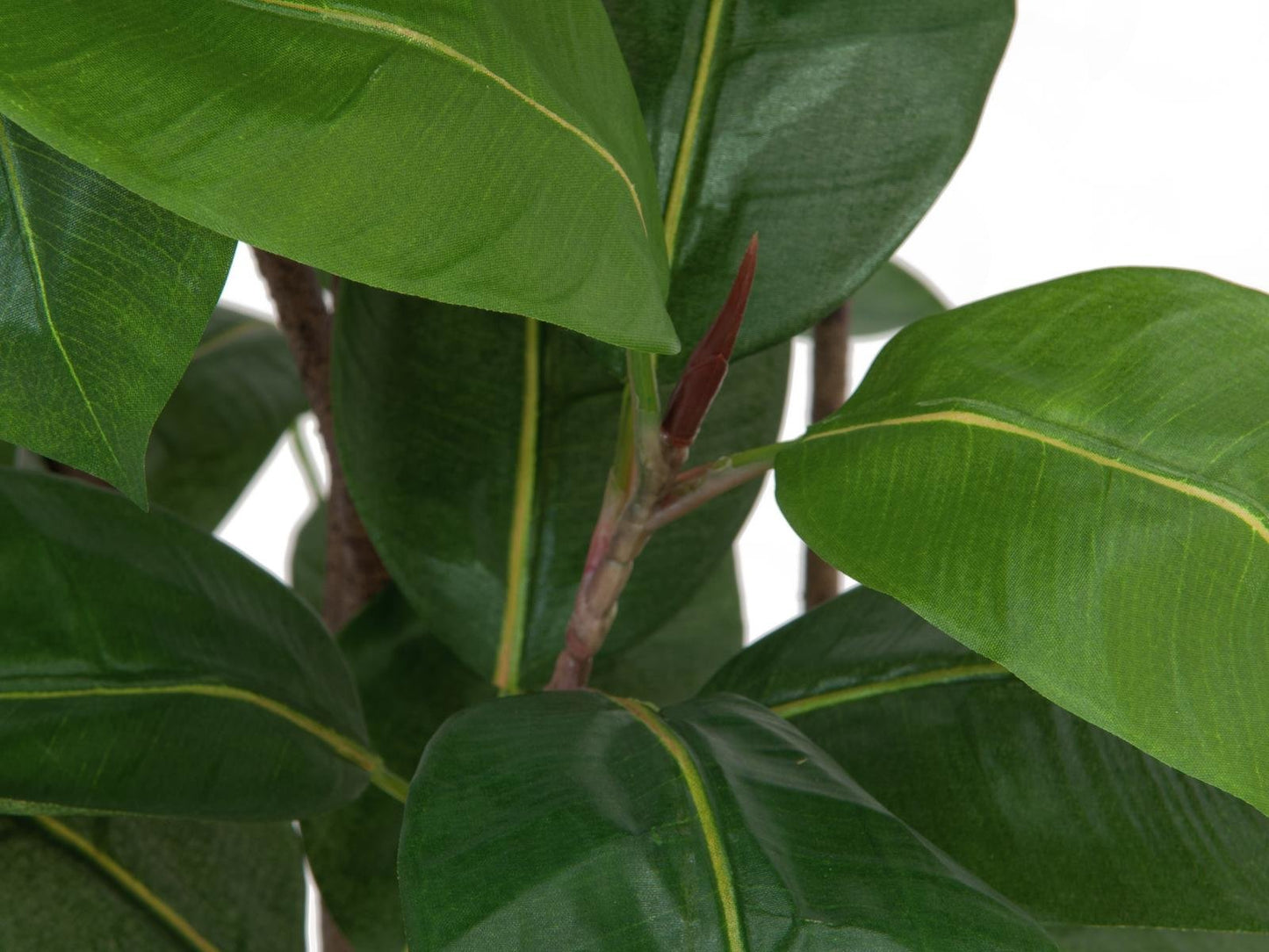 Rubber tree, artificial plant, 150cm