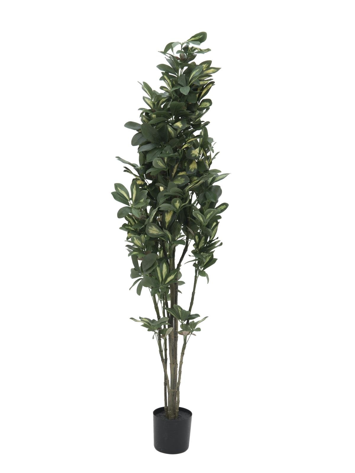 Umbrella Tree, artificial,120cm