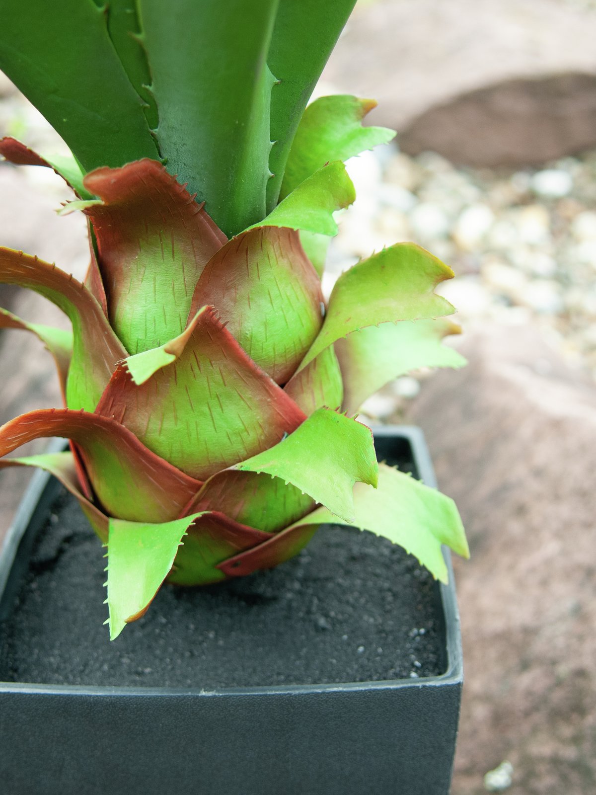 Agave plant with pot, artificial plant, 75cm