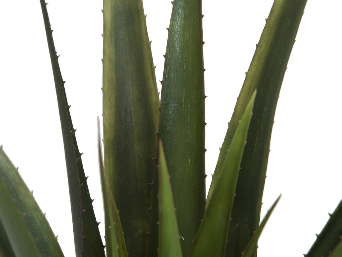 Aloe vera plant, artificial plant, 60cm