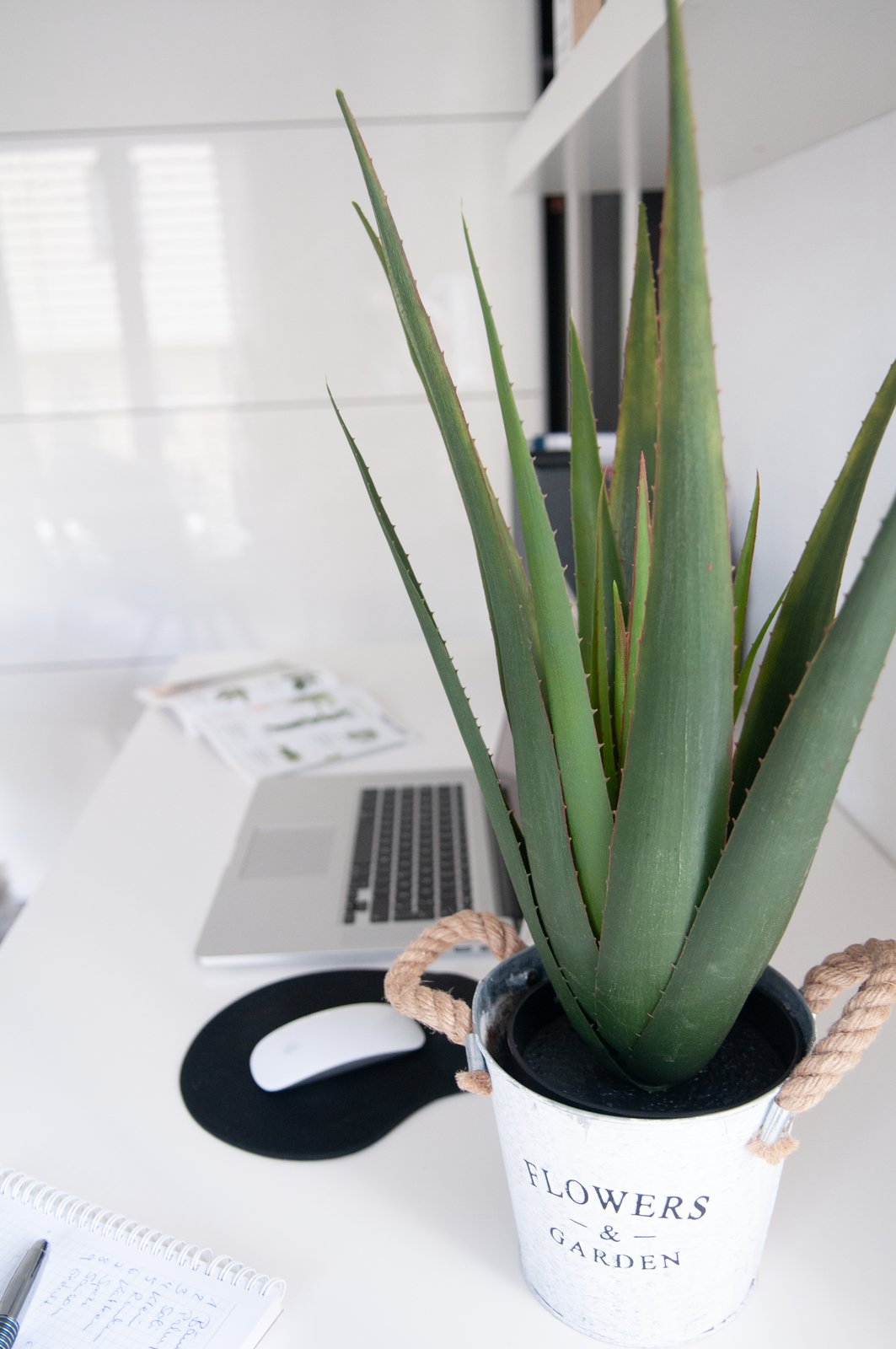 Aloe vera plant, artificial plant, 60cm