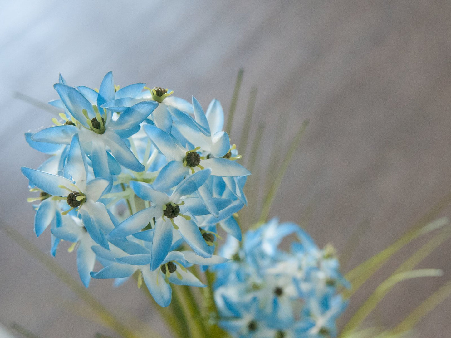 Allium grass, artificial plant, blue, 120 cm