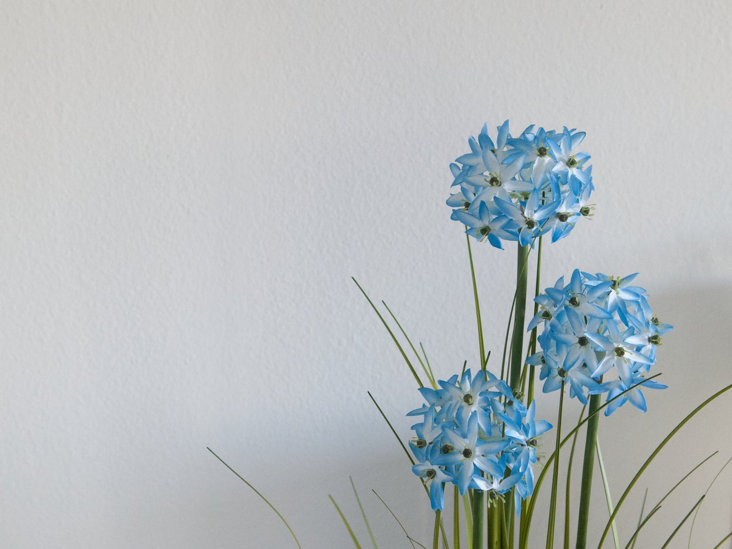 Allium grass, artificial plant, blue, 120 cm