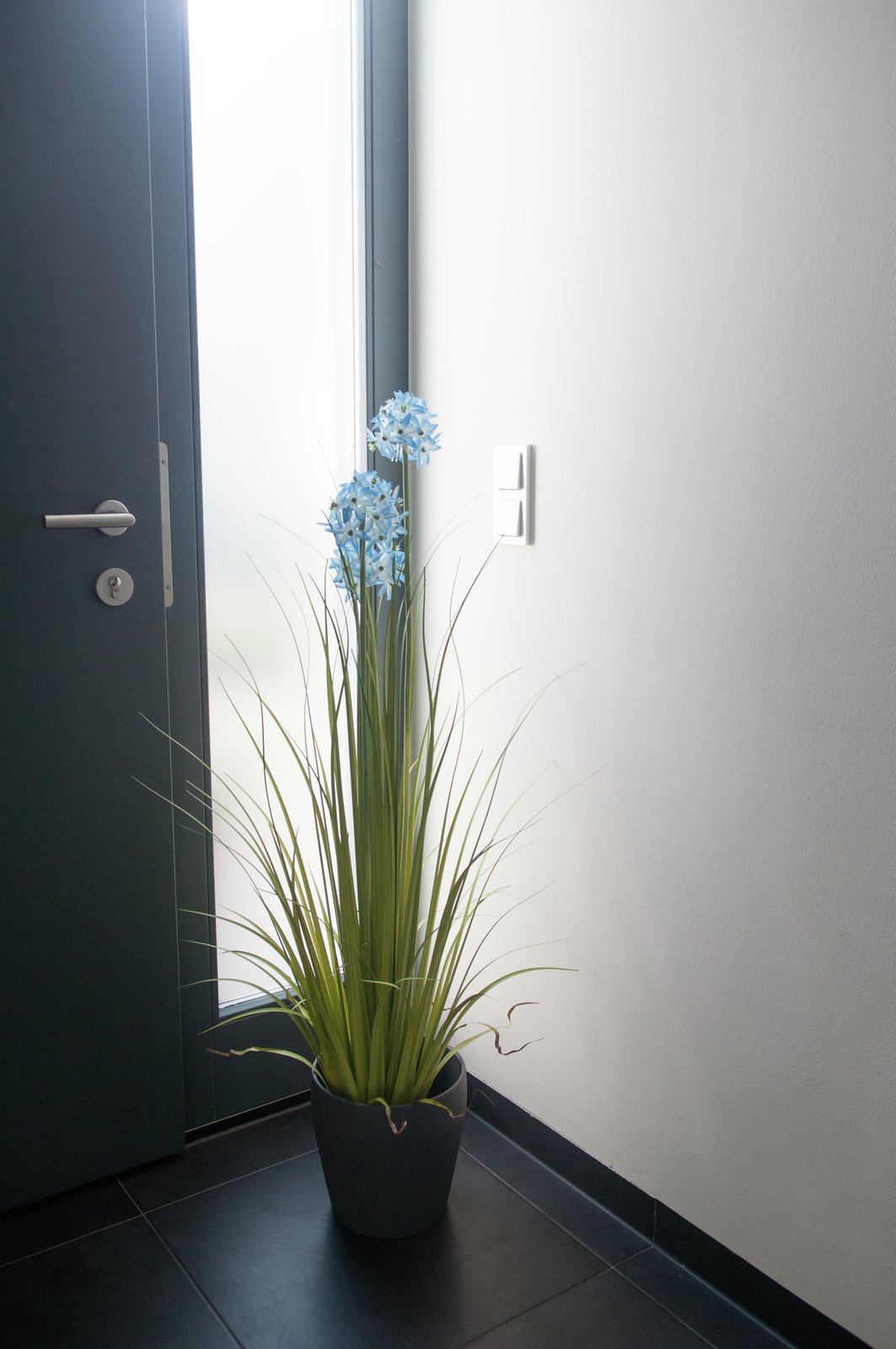 Allium grass, artificial plant, blue, 120 cm