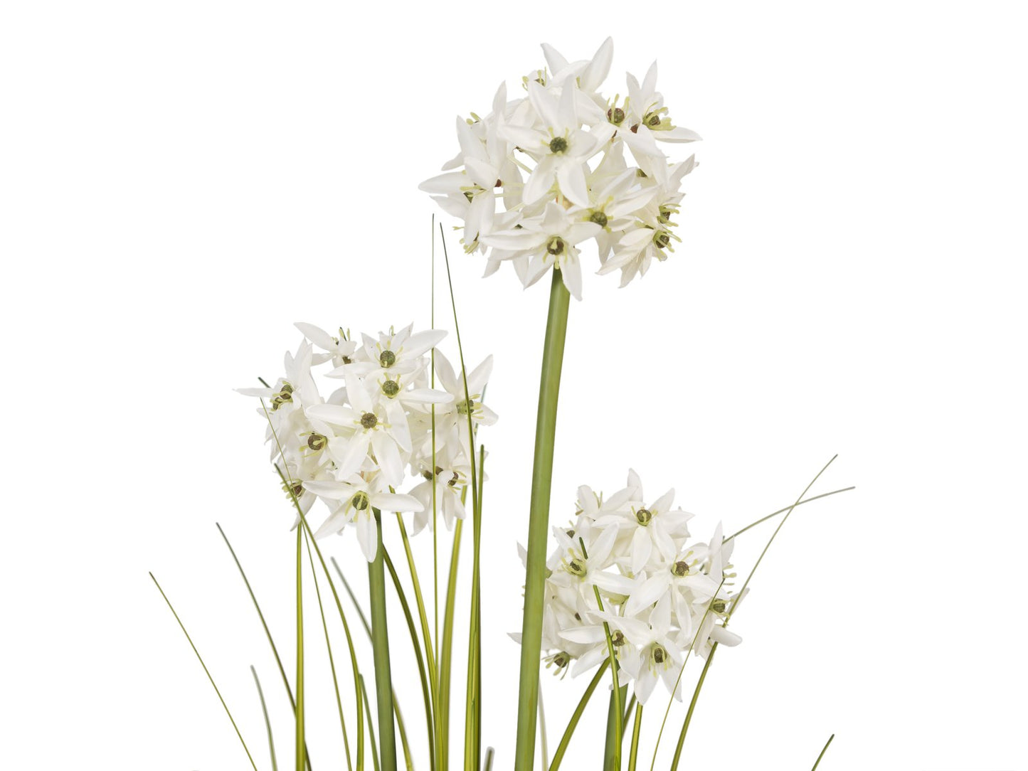 Allium grass, artificial plant, white, 120 cm