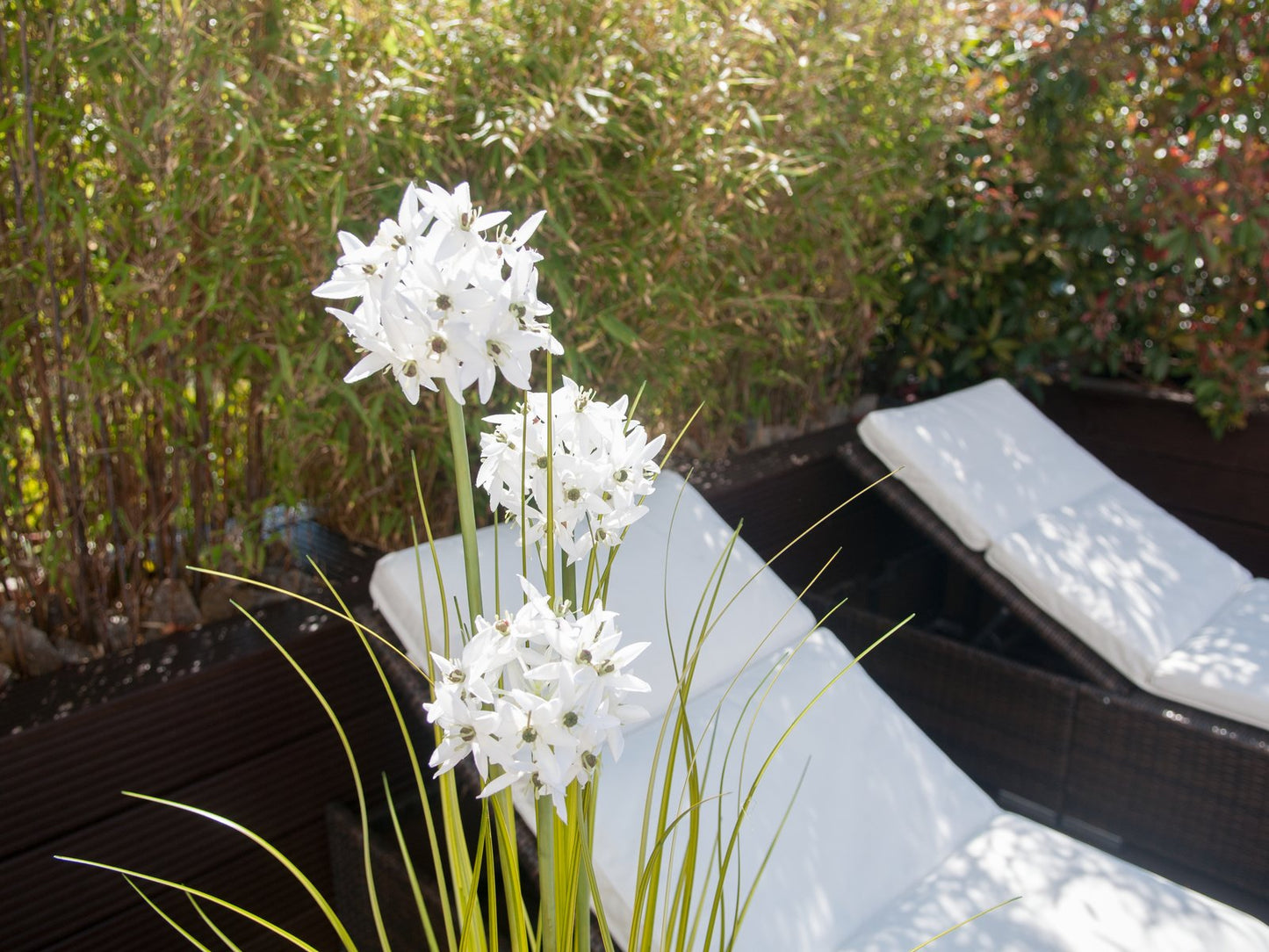 Allium grass, artificial plant, white, 120 cm