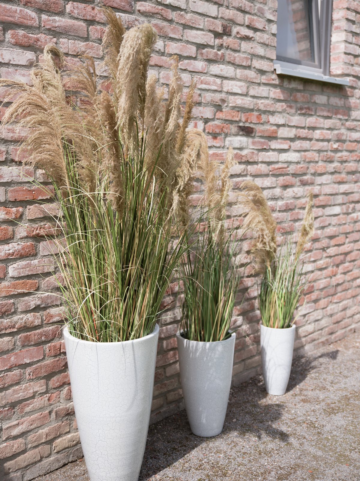 Pampas Grass, artificial, 110cm