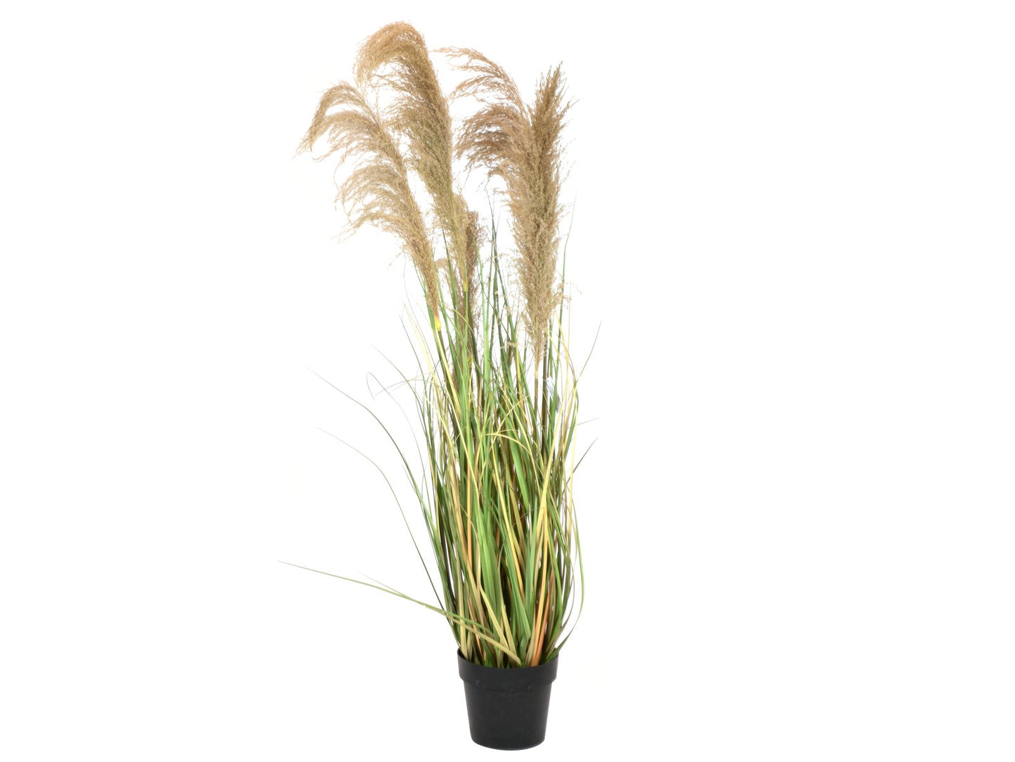 Pampas Grass, artificial, 140cm