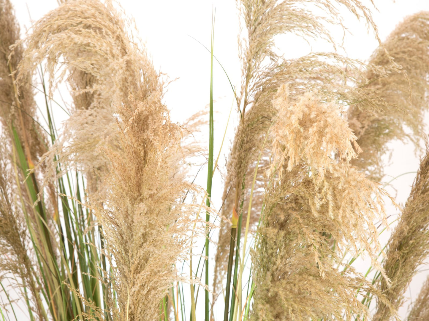 Pampas Grass, artificial, 140cm