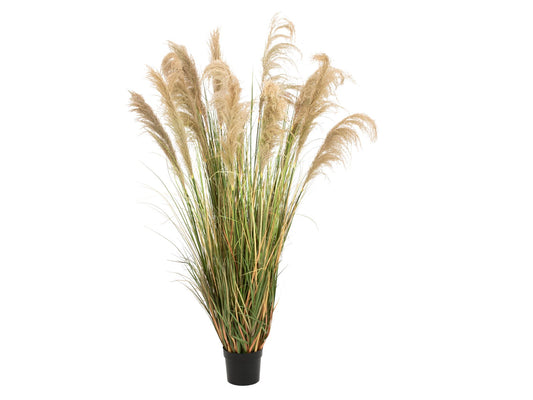 Pampas Grass, artificial, 180cm