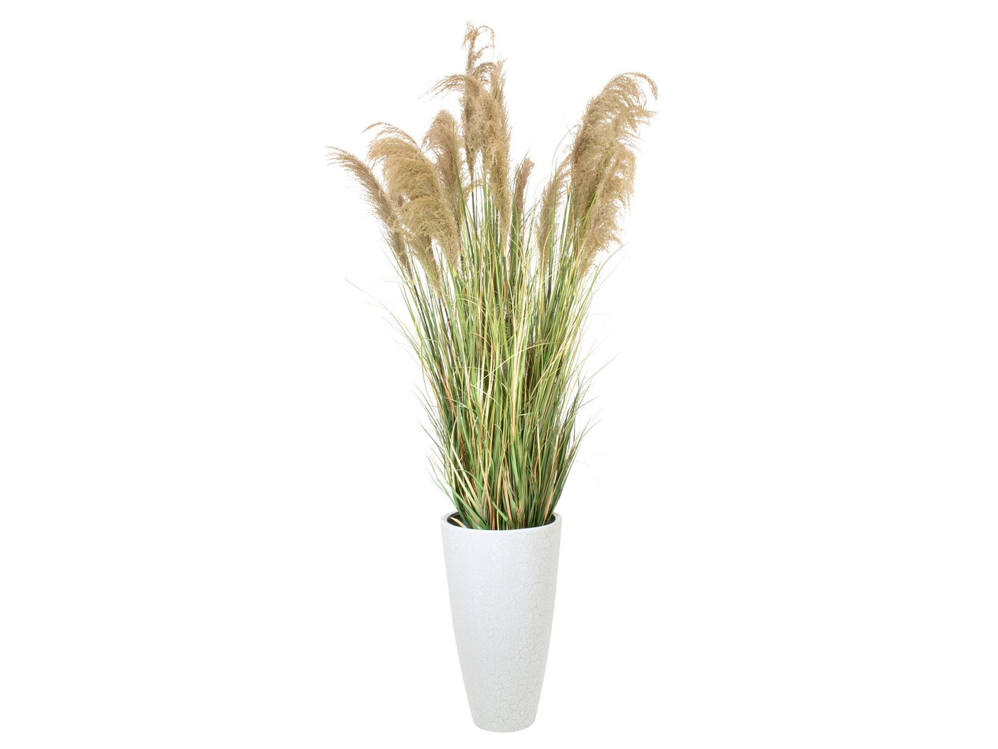 Pampas Grass, artificial, 180cm