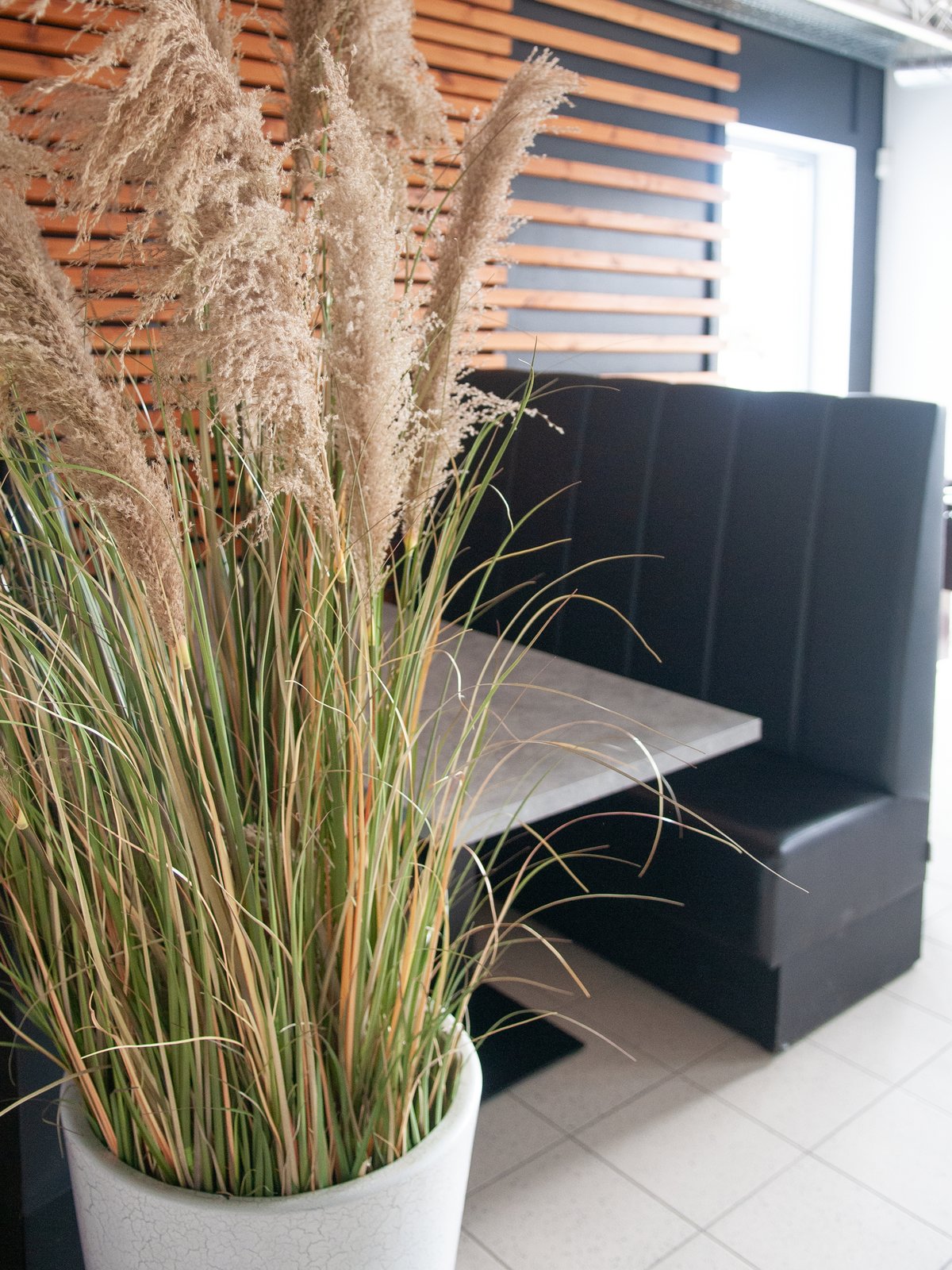 Pampas Grass, artificial, 180cm