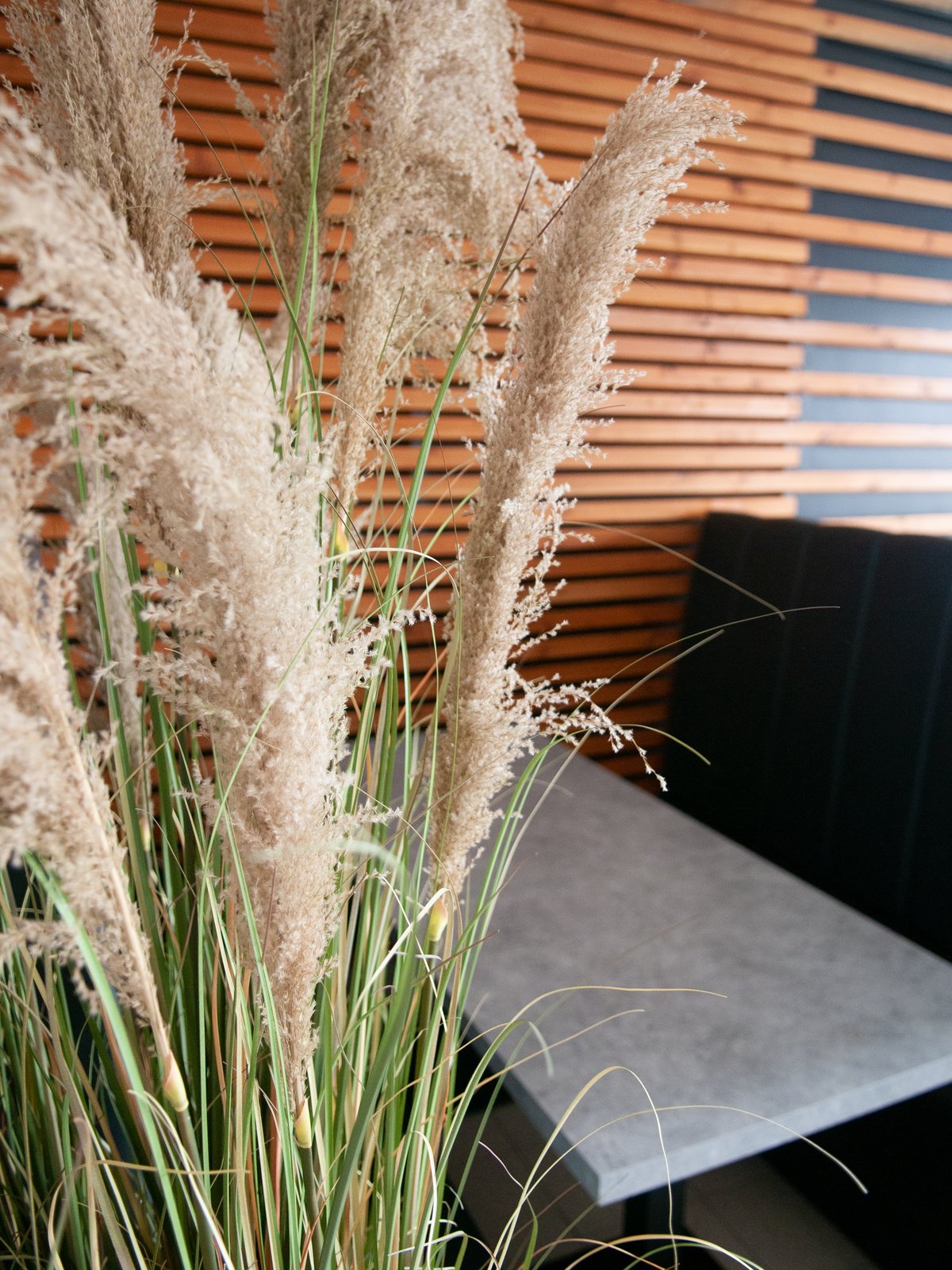 Pampas Grass, artificial, 180cm