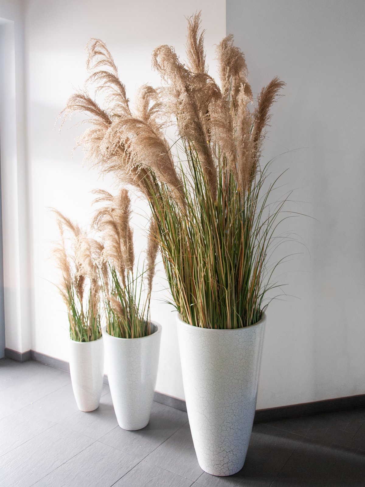 Pampas Grass, artificial, 180cm