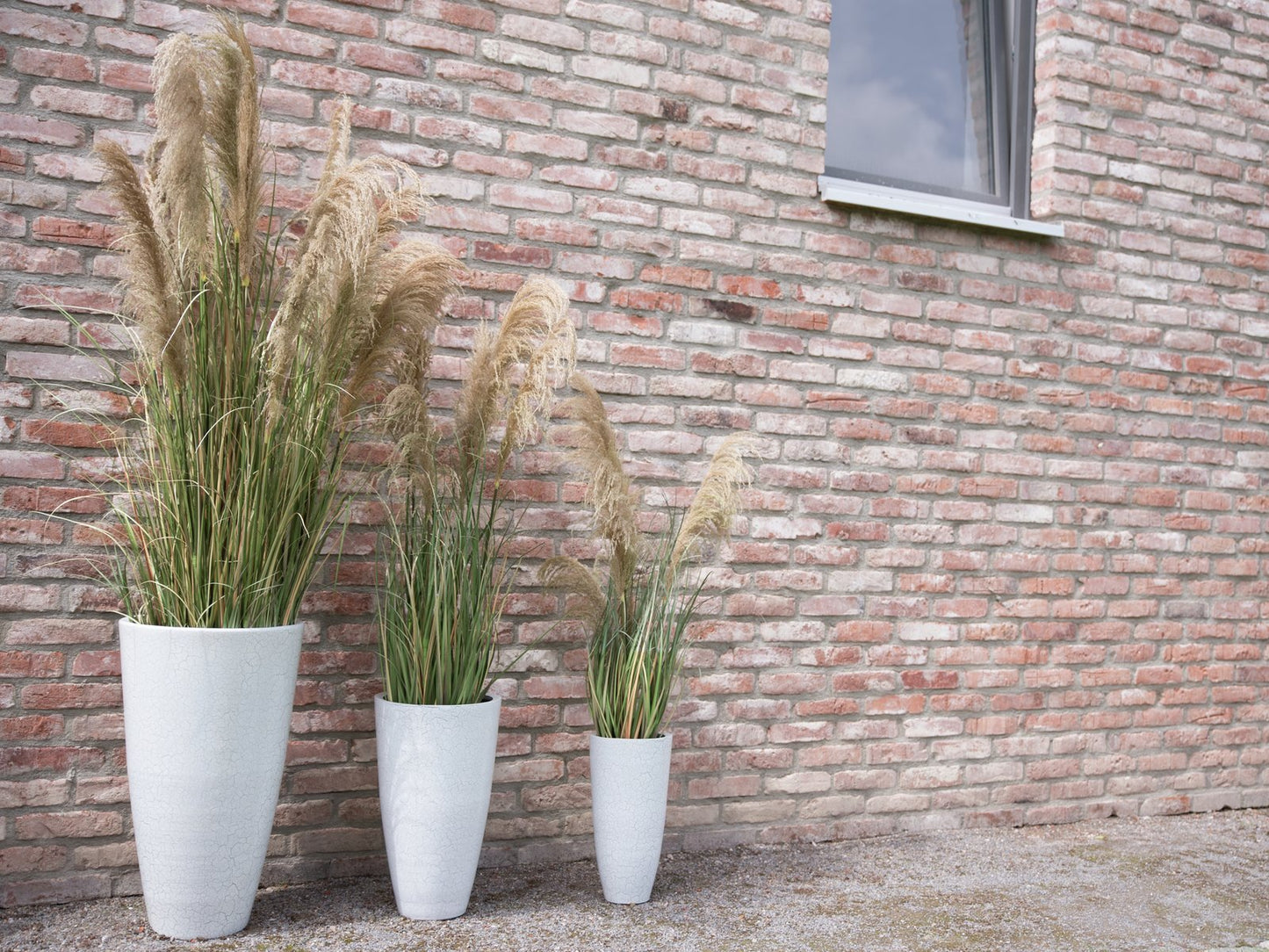 Pampas Grass, artificial, 180cm