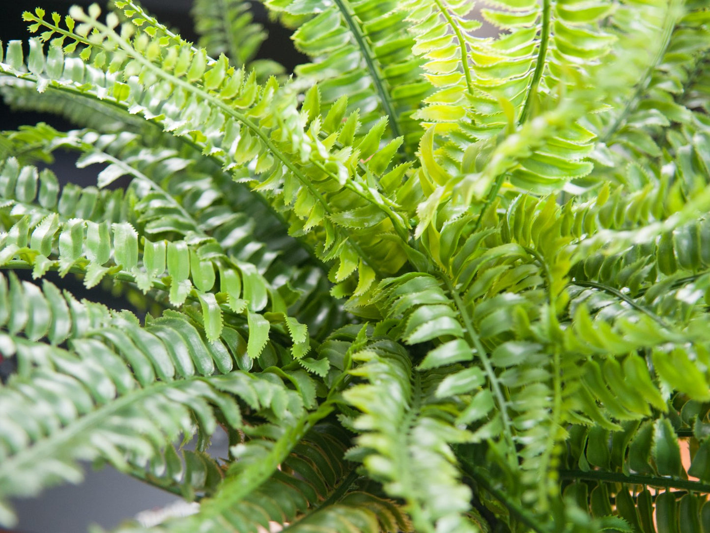 Fern bush in pot, artificial plant, 62 leaves, 48cm