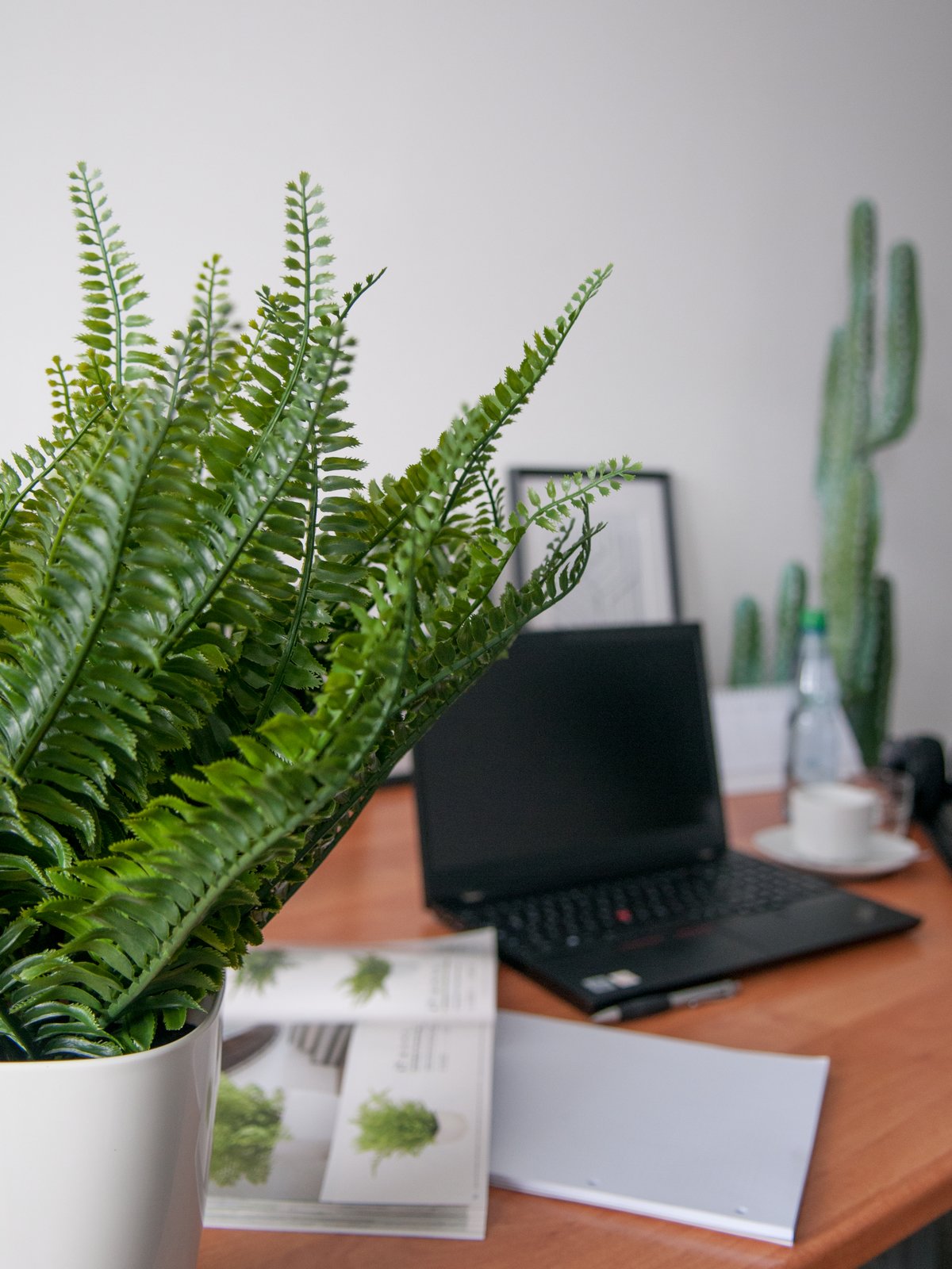 Fern bush in pot, artificial plant, 62 leaves, 48cm