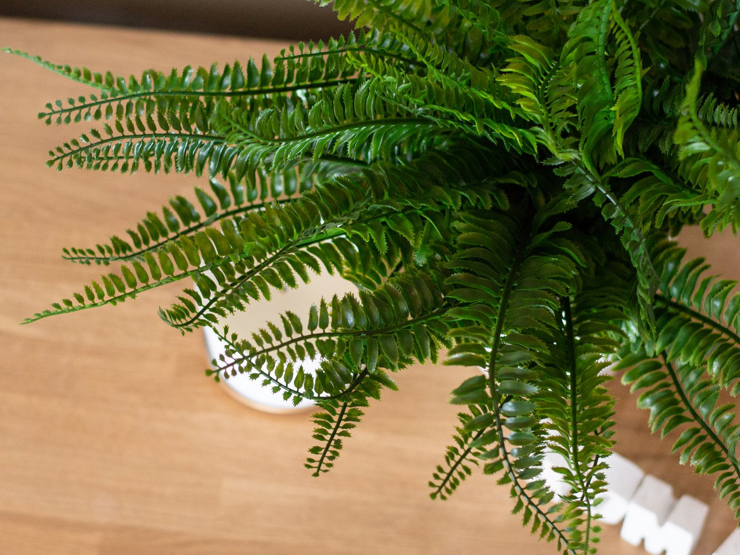 Fern bush in pot, artificial plant, 62 leaves, 48cm