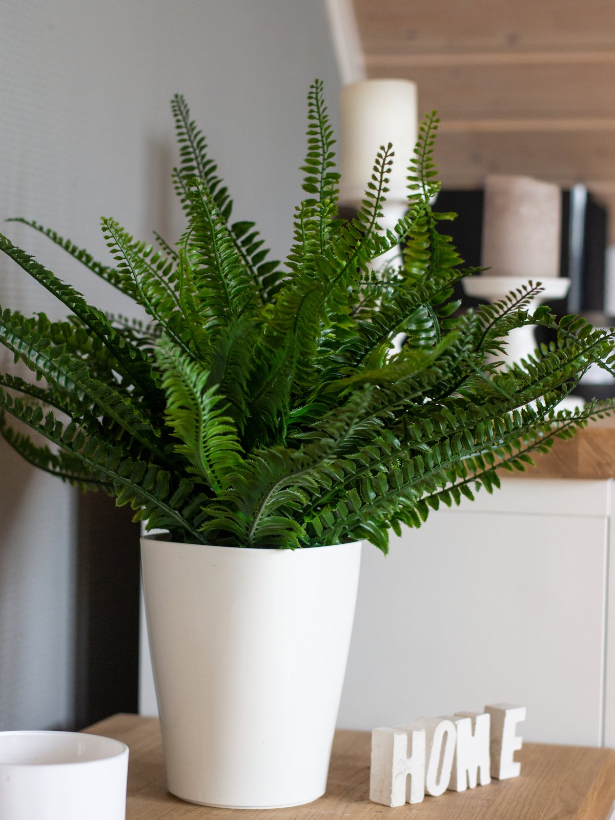 Fern bush in pot, artificial plant, 62 leaves, 48cm