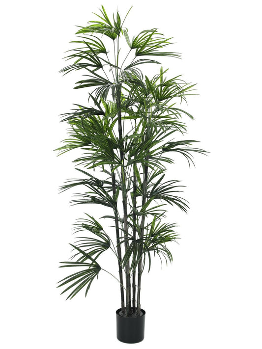 Fan palm seedling, artificial plant, 150cm