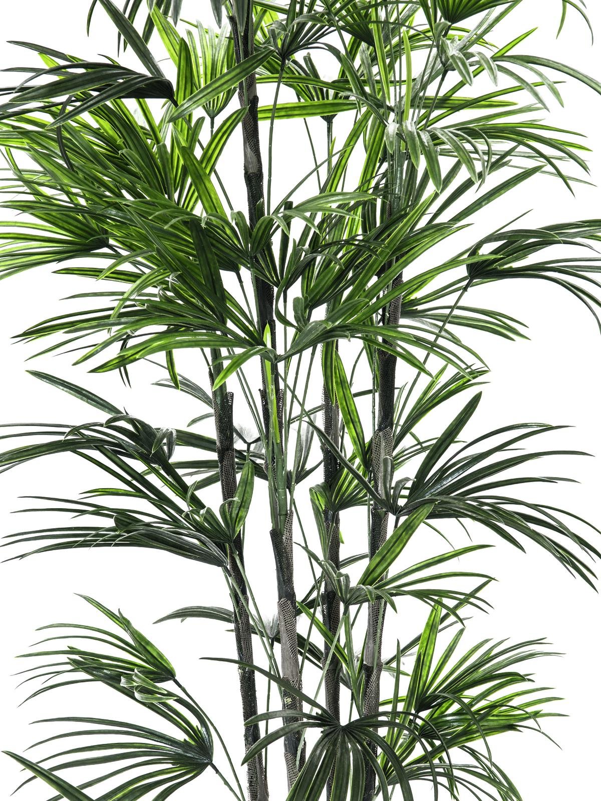 Fan palm seedling, artificial plant, 150cm