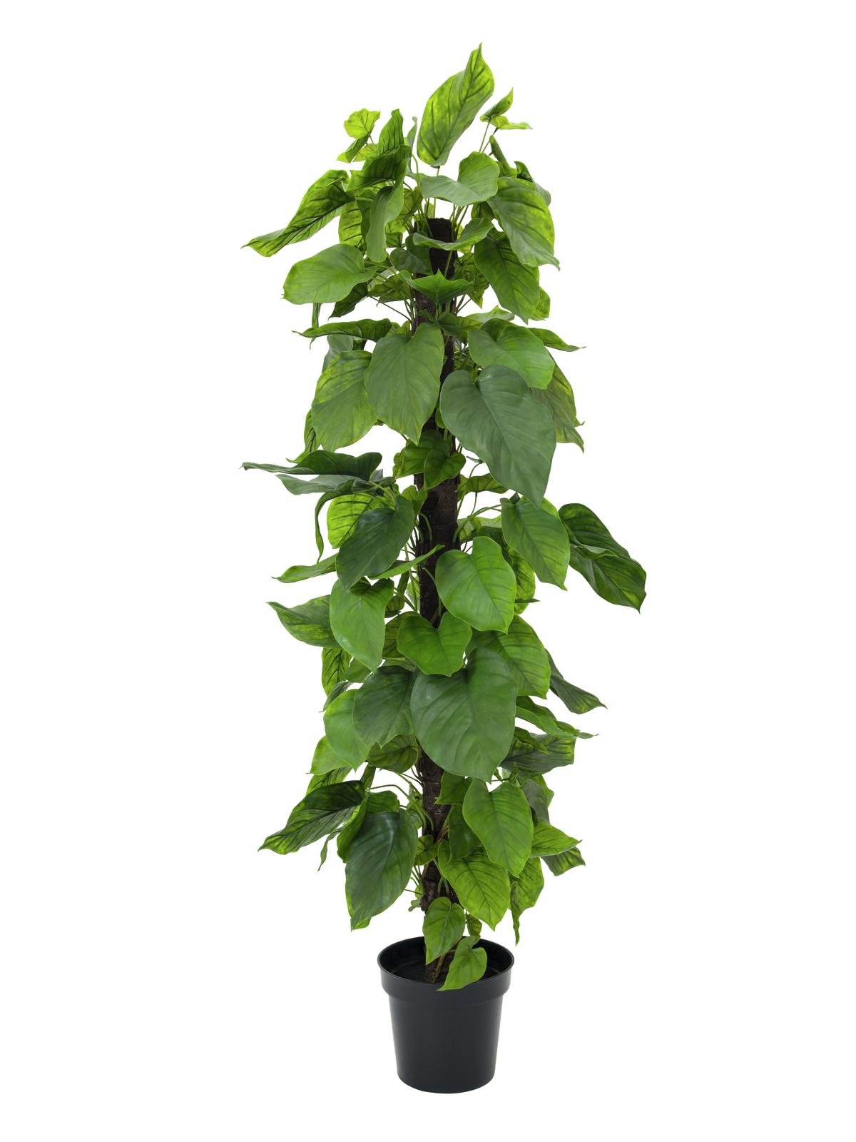 Ceylon vine plant, artificial, 180cm