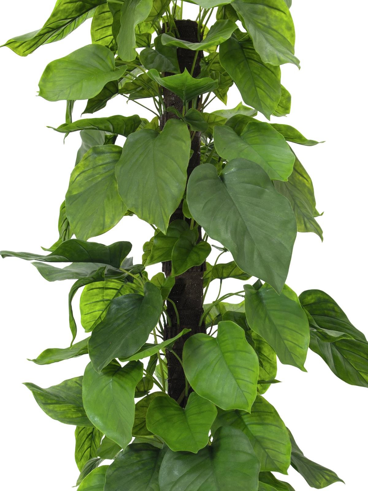 Ceylon vine plant, artificial, 180cm