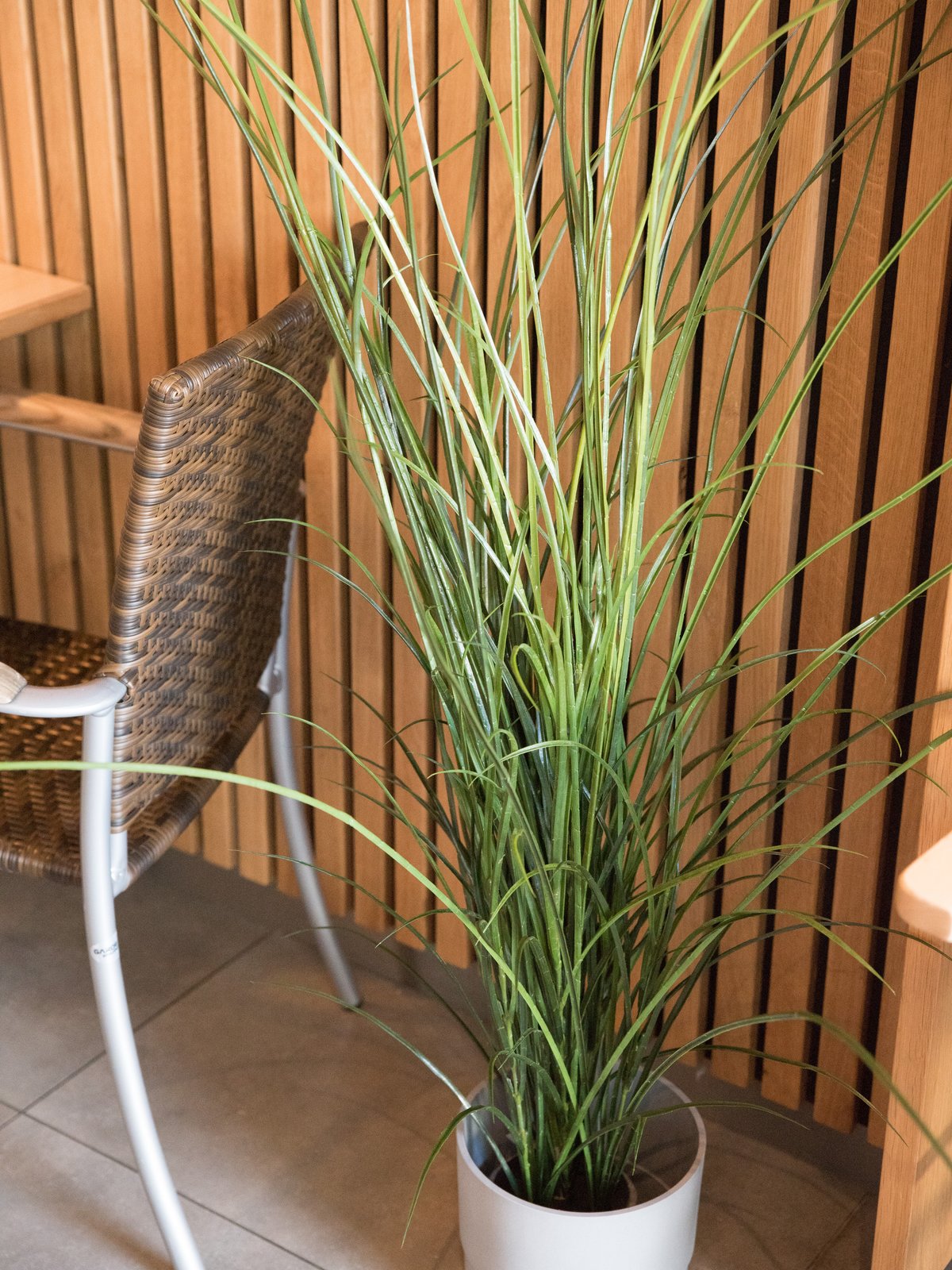 Reed (grass), artificial, 145cm