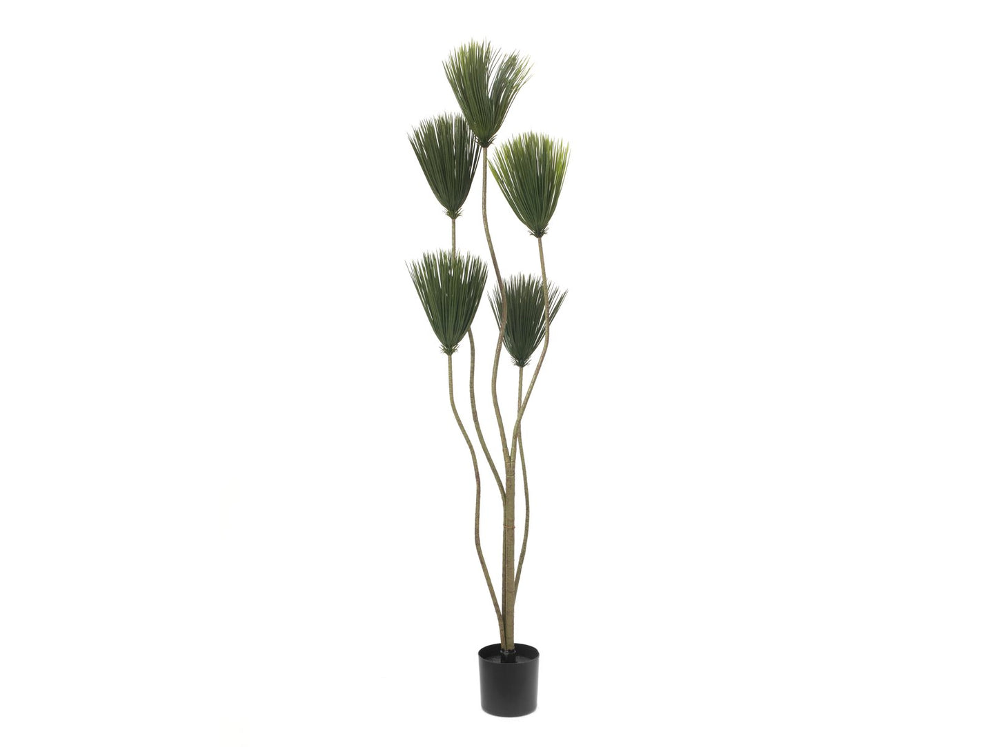 Brush Palm, artificial plant, 49cm