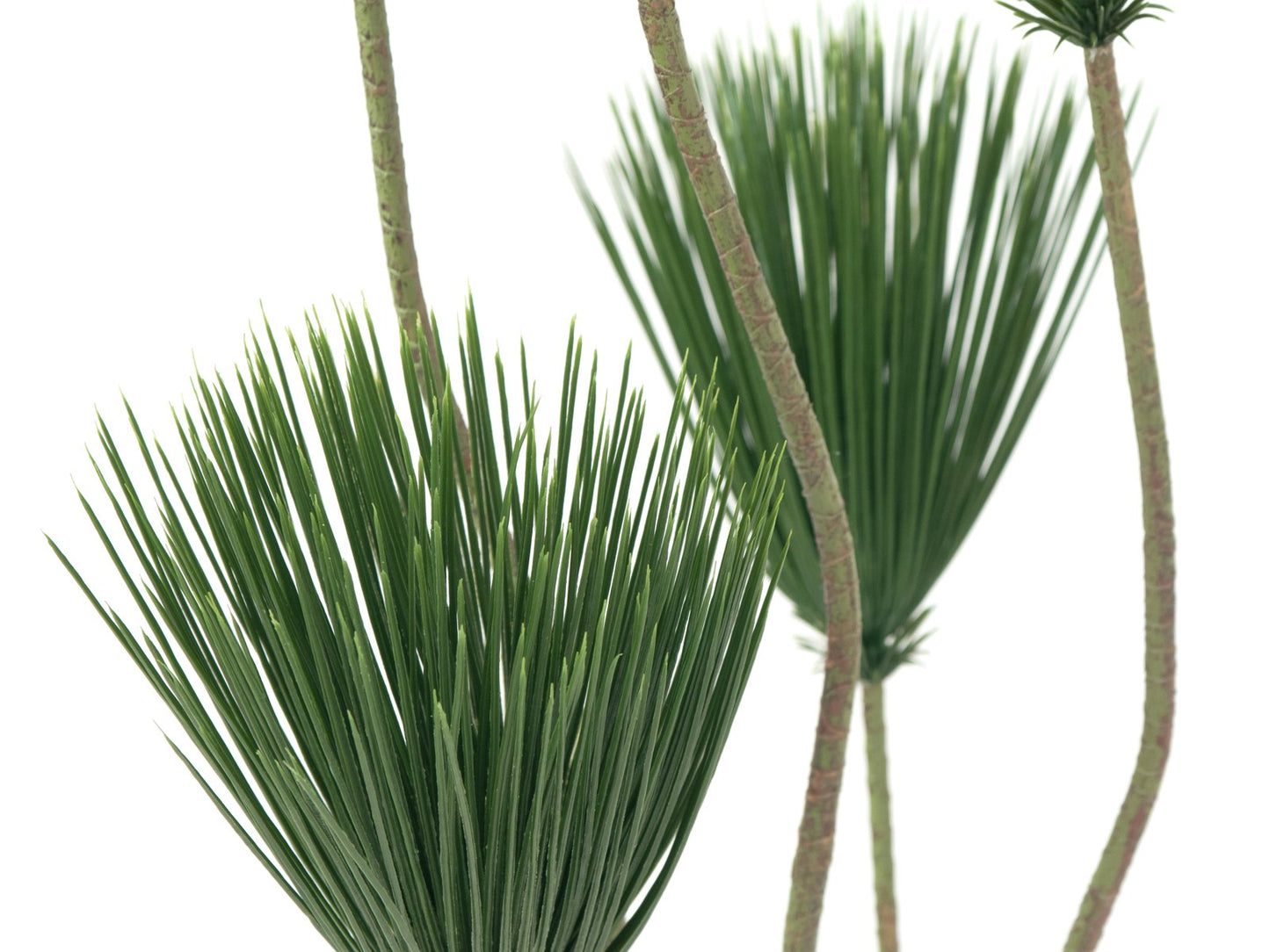 Brush Palm, artificial plant, 49cm