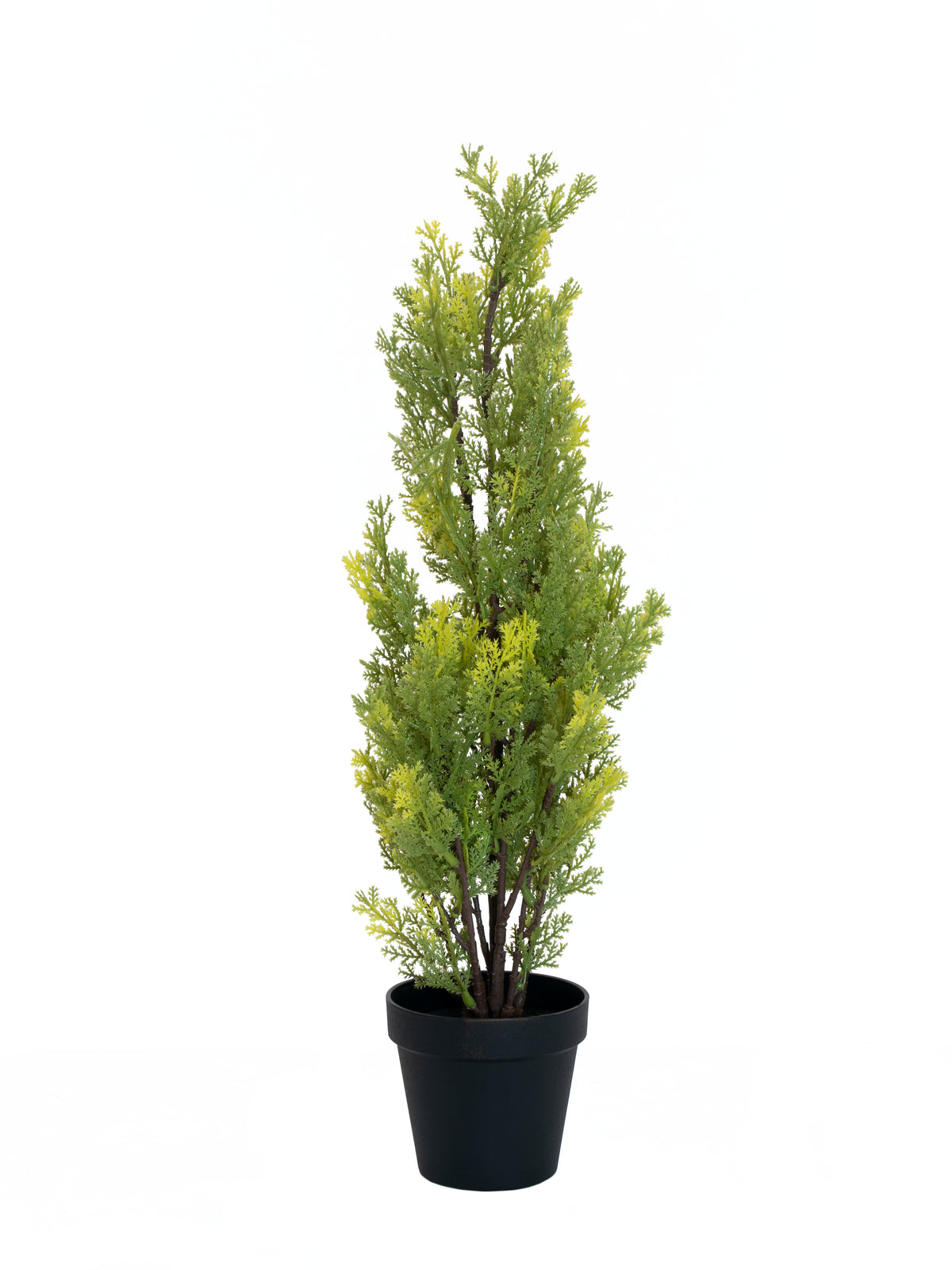 Cypress, Leyland, artificial plant, 60cm