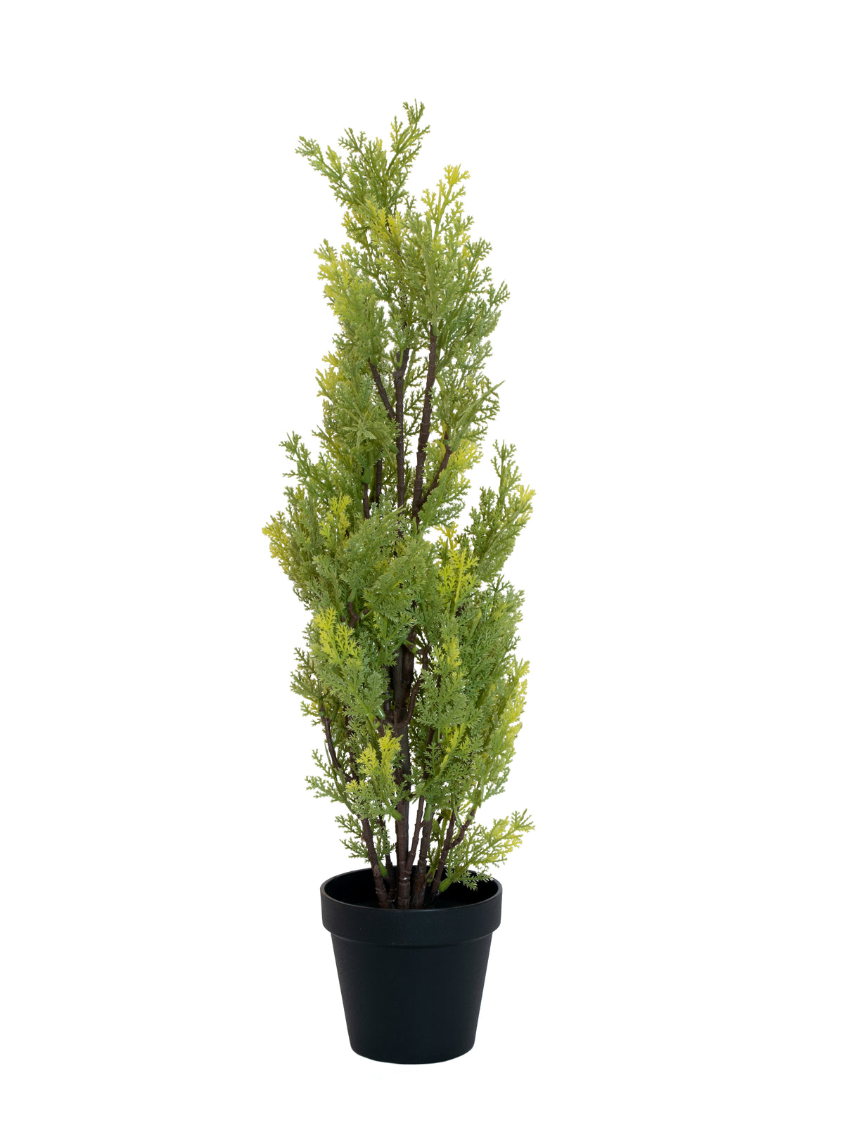 Cypress, Leyland, artificial plant, 60cm