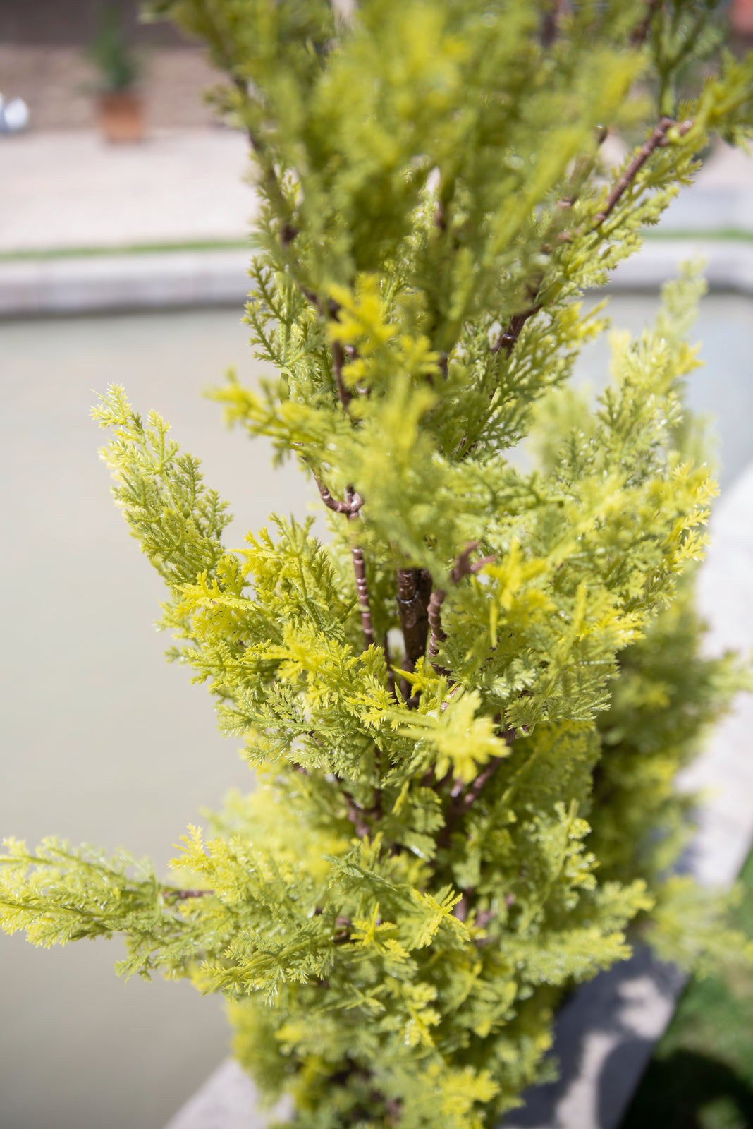 Cypress, Leyland, artificial plant, 60cm