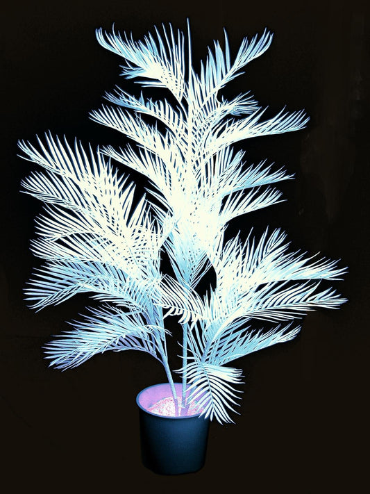 Paradise Palm, artificial, uv-white, 170cm